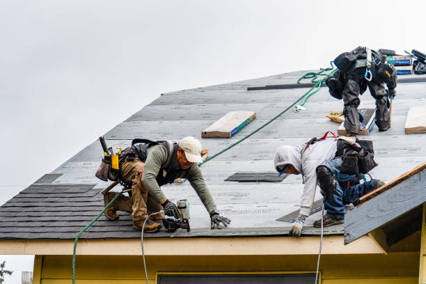 Professional Roof Installation technician working in Mchenry, ND